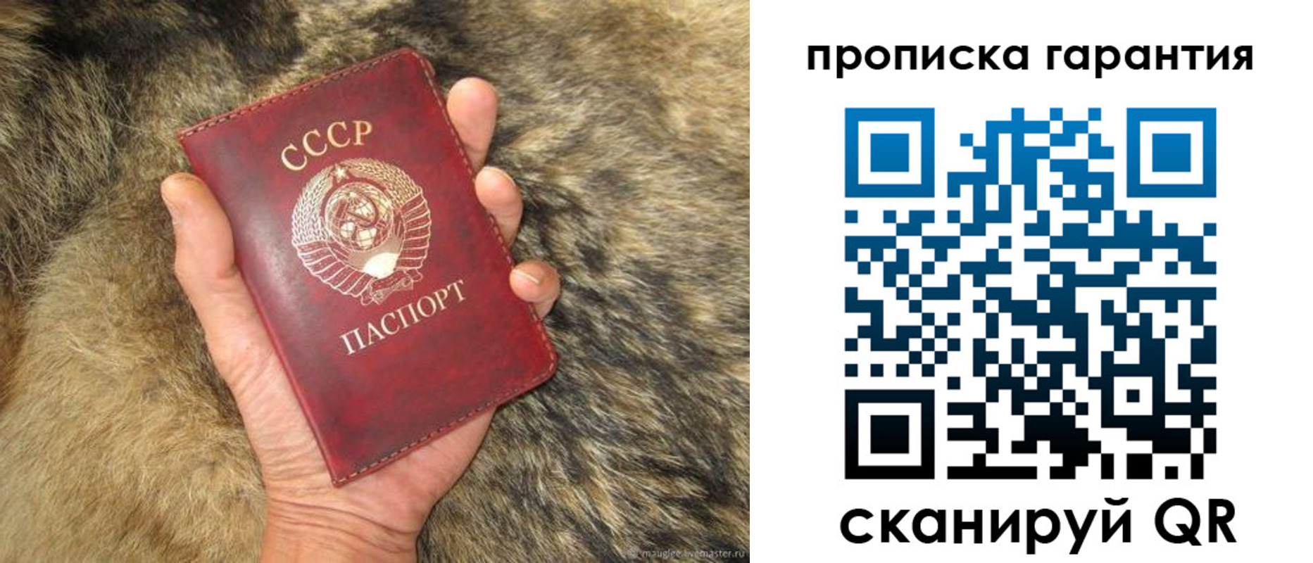 прописка паспорт в Новосибирской области